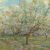 De witte boomgaard - Vincent van Gogh