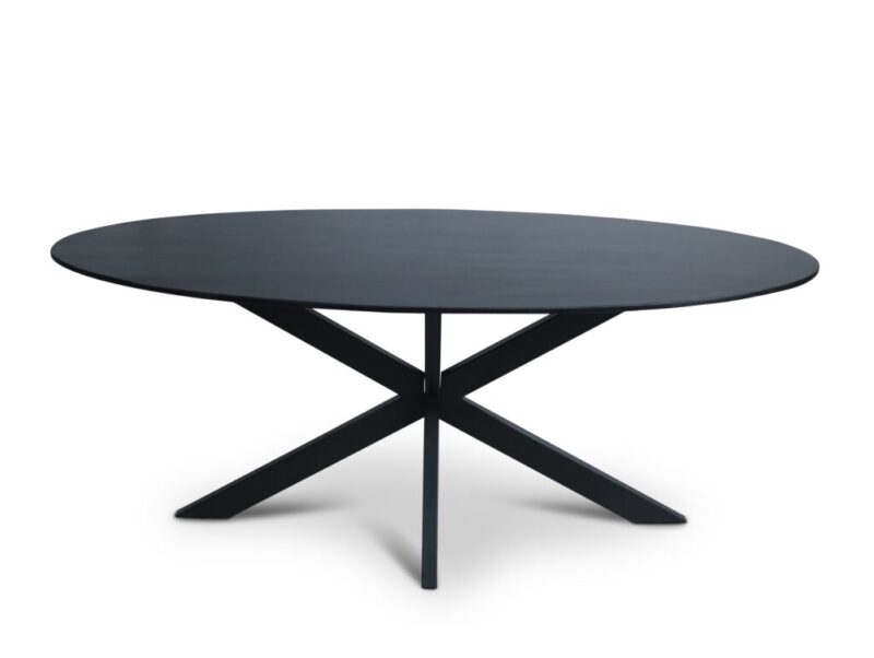Ovale vergadertafel zwart glad